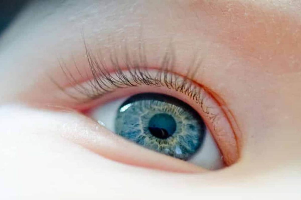 Conheça os testes caseiros de miopia e veja os seus riscos - SunKids