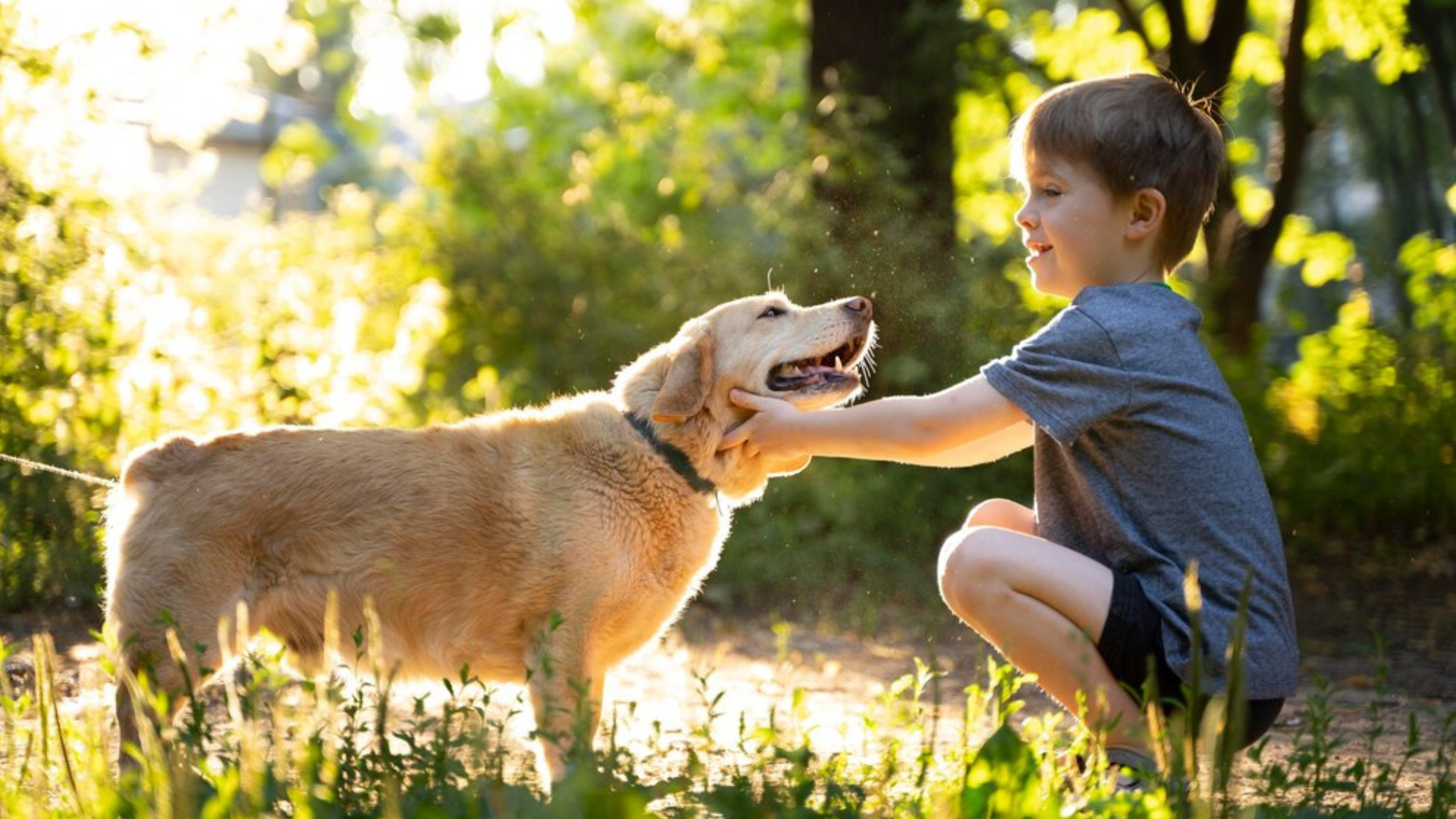 Conheça as 8 melhores raças de cachorro para crianças! – SunKids