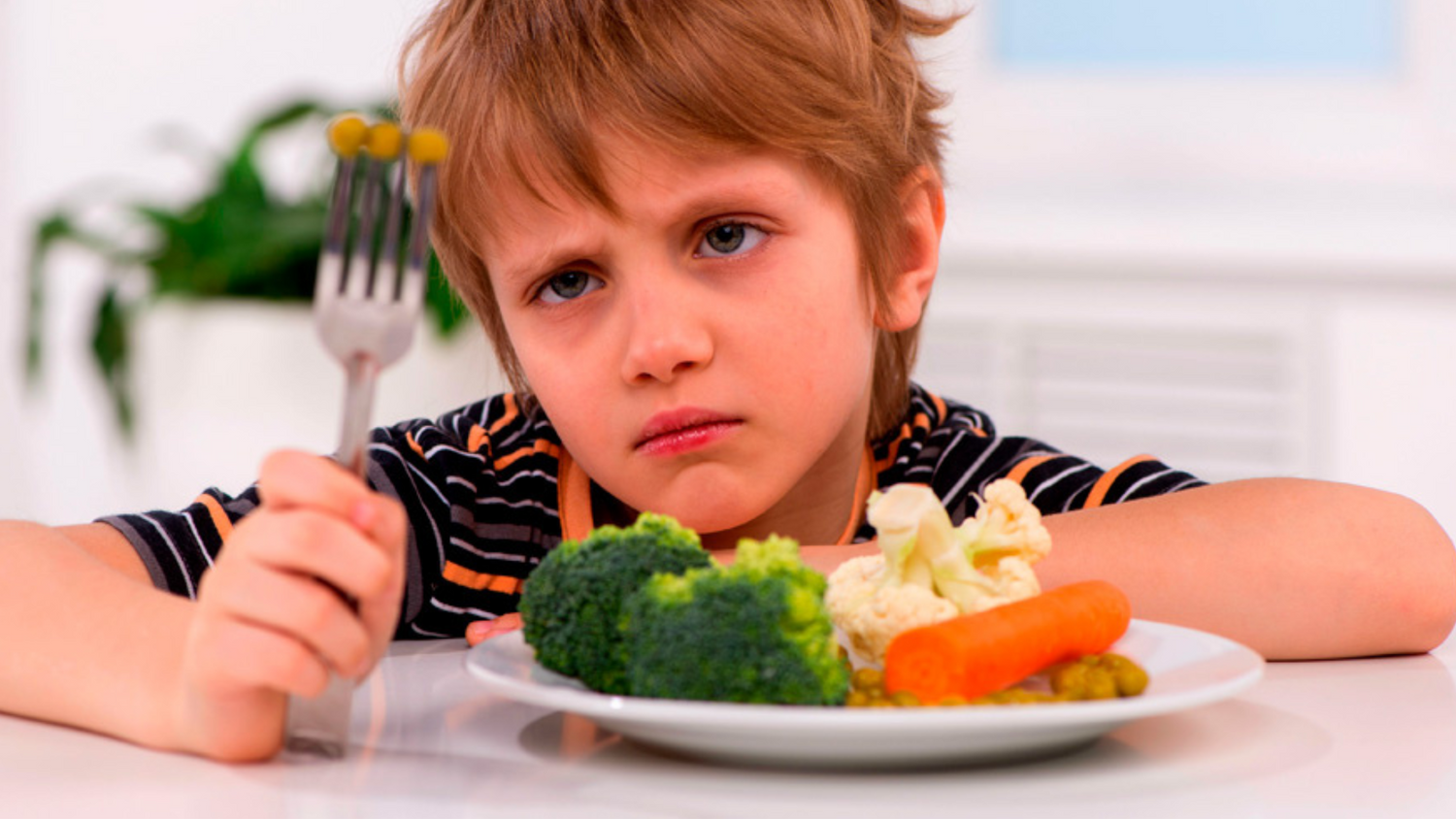 Meu filho não quer comer: Estratégias comprovadas para lidar com a recusa alimentar